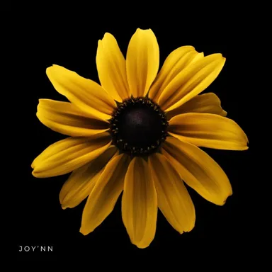Cover art for J by Joy'nn